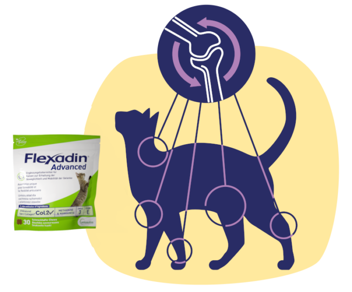 Flexadin cat