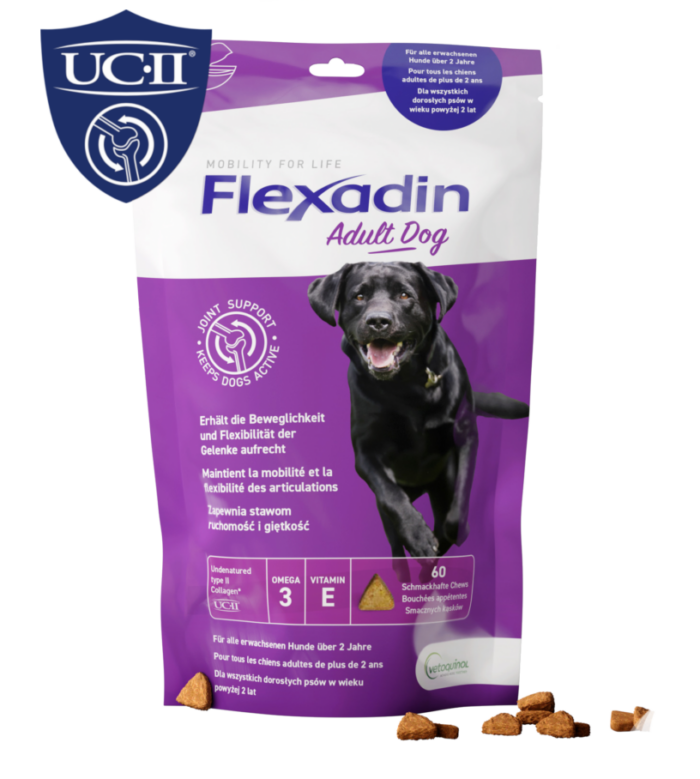 Flexadin adult dog