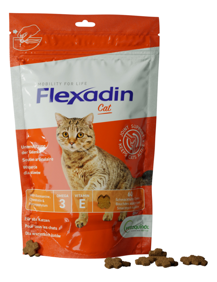 Opakowanie Flexadin Cat