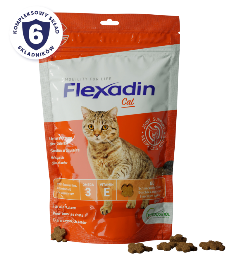 Flexadin cat