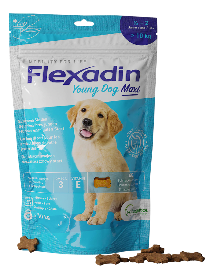 Opakowanie Flexadin Young Dog Maxi