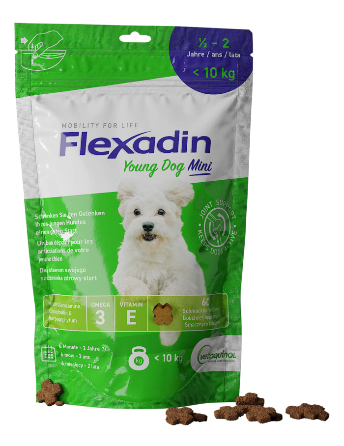 Opakowanie Flexadin Young dog mini