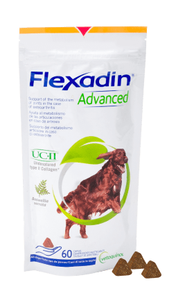 Opakowanie Flexadin Advanced